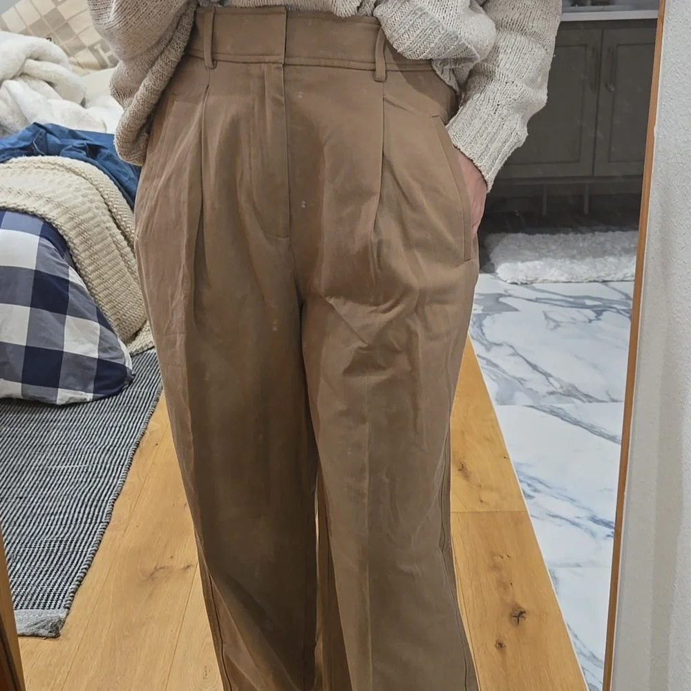 Everlane Wide Leg Pleated Pants, On Trend, Neutral, Size 6, Sophistication - Picture 3 of 7